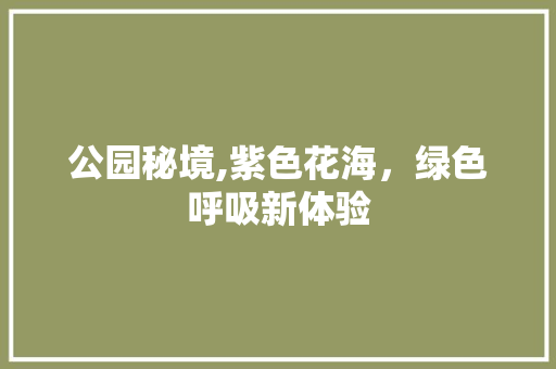 公园秘境,紫色花海，绿色呼吸新体验