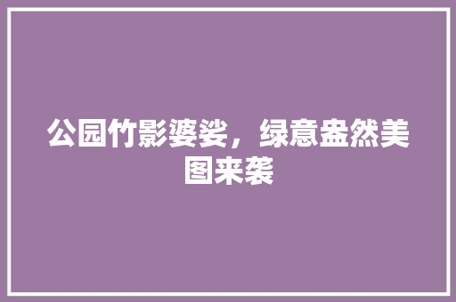 公园竹影婆娑，绿意盎然美图来袭