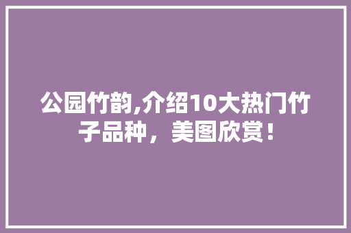 公园竹韵,介绍10大热门竹子品种，美图欣赏！