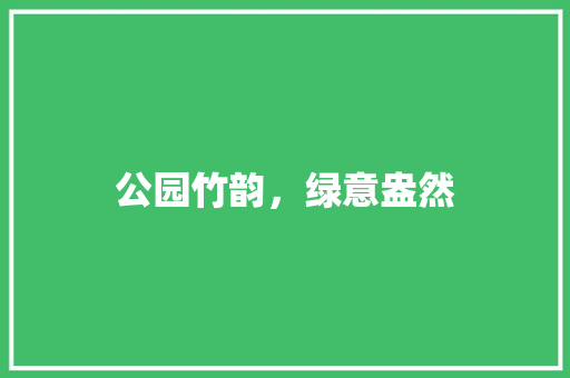 公园竹韵，绿意盎然