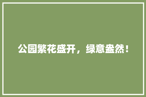 公园繁花盛开，绿意盎然！