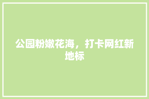 公园粉嫩花海，打卡网红新地标