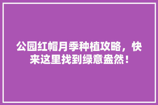 公园红帽月季种植攻略，快来这里找到绿意盎然！