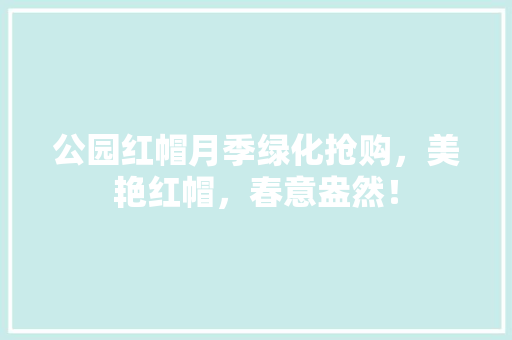 公园红帽月季绿化抢购，美艳红帽，春意盎然！