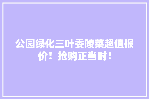 公园绿化三叶委陵菜超值报价！抢购正当时！