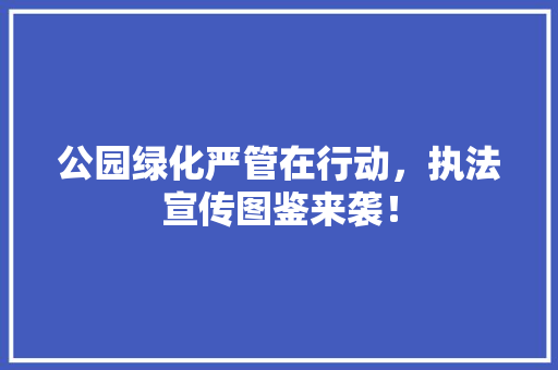 公园绿化严管在行动，执法宣传图鉴来袭！