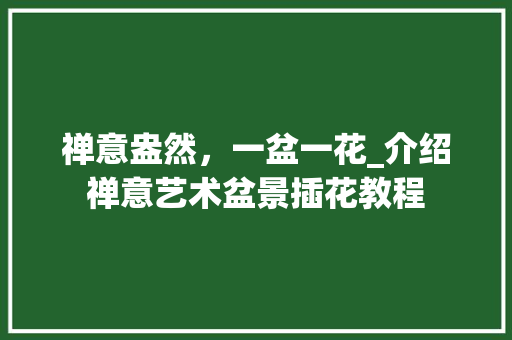 禅意盎然，一盆一花_介绍禅意艺术盆景插花教程