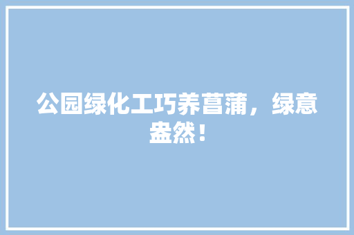 公园绿化工巧养菖蒲，绿意盎然！