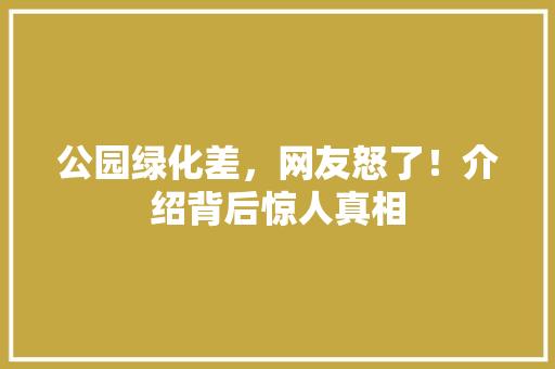 公园绿化差，网友怒了！介绍背后惊人真相