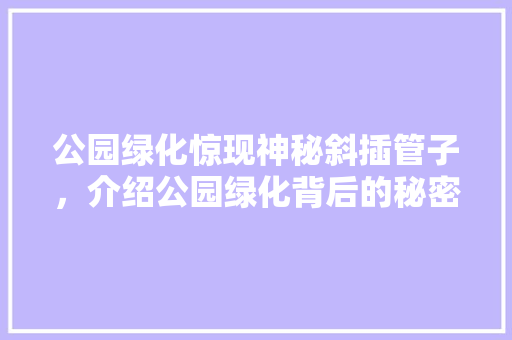 公园绿化惊现神秘斜插管子，介绍公园绿化背后的秘密！