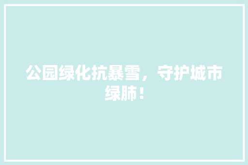 公园绿化抗暴雪，守护城市绿肺！