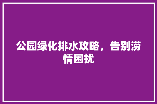 公园绿化排水攻略，告别涝情困扰