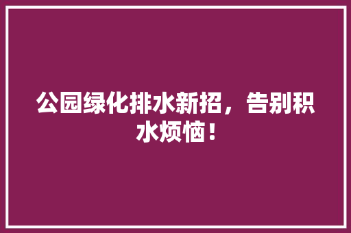 公园绿化排水新招，告别积水烦恼！