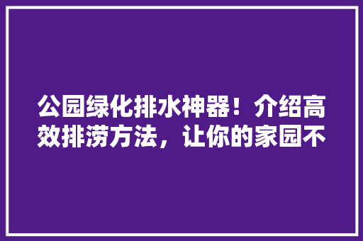 公园绿化排水神器！介绍高效排涝方法，让你的家园不再“看海”