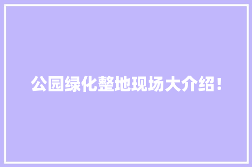公园绿化整地现场大介绍！