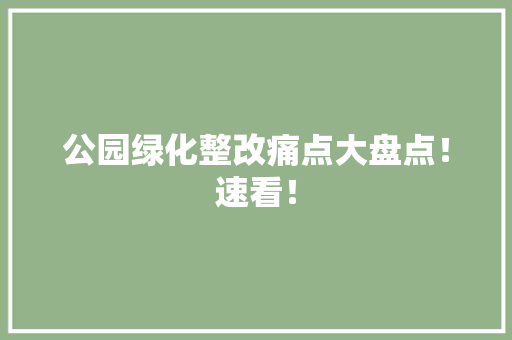 公园绿化整改痛点大盘点！速看！