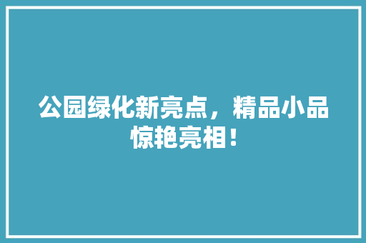 公园绿化新亮点，精品小品惊艳亮相！