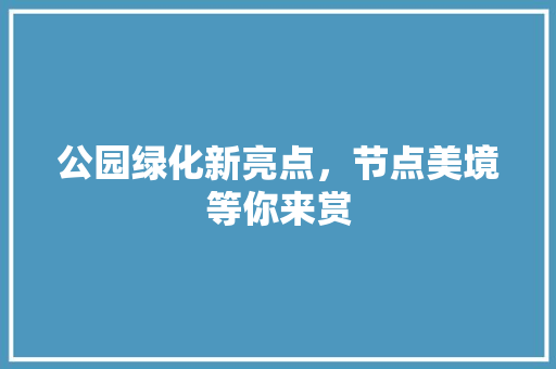 公园绿化新亮点，节点美境等你来赏