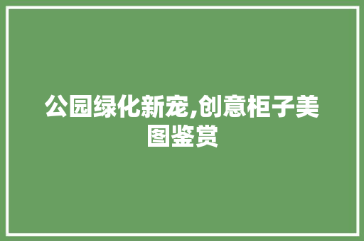 公园绿化新宠,创意柜子美图鉴赏