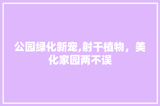 公园绿化新宠,射干植物，美化家园两不误
