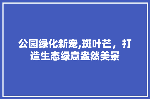 公园绿化新宠,斑叶芒，打造生态绿意盎然美景