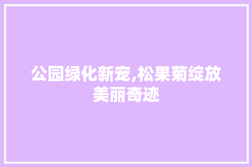 公园绿化新宠,松果菊绽放美丽奇迹