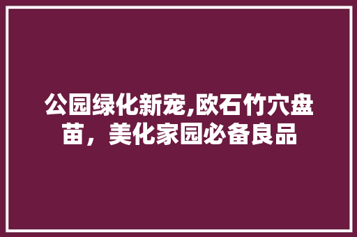 公园绿化新宠,欧石竹穴盘苗，美化家园必备良品