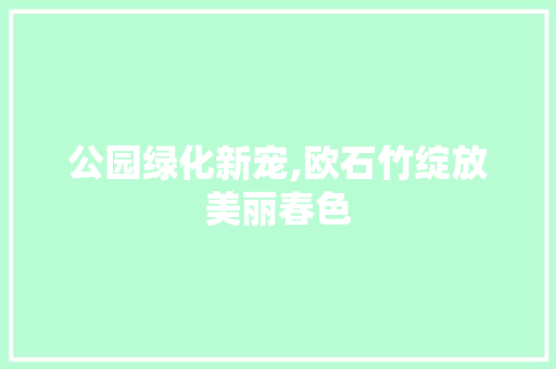 公园绿化新宠,欧石竹绽放美丽春色
