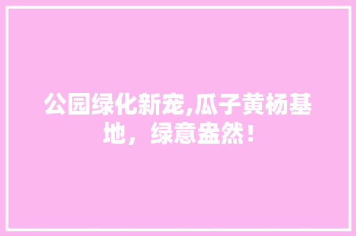 公园绿化新宠,瓜子黄杨基地，绿意盎然！