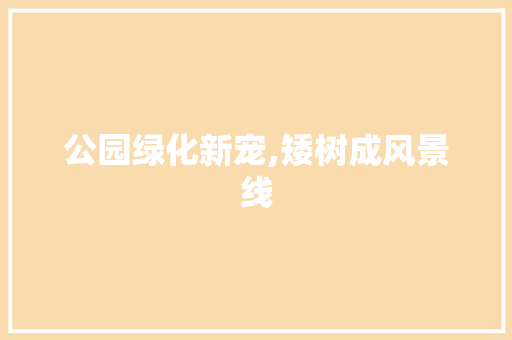 公园绿化新宠,矮树成风景线