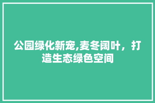 公园绿化新宠,麦冬阔叶，打造生态绿色空间