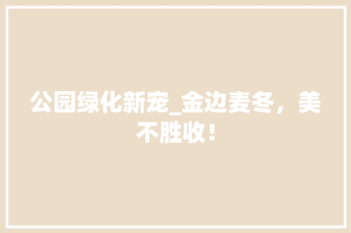 公园绿化新宠_金边麦冬，美不胜收！