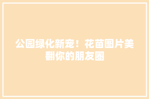 公园绿化新宠！花苗图片美翻你的朋友圈