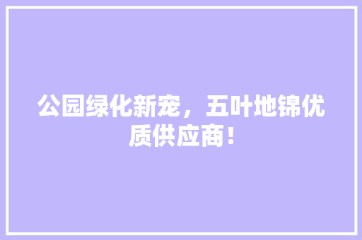 公园绿化新宠，五叶地锦优质供应商！