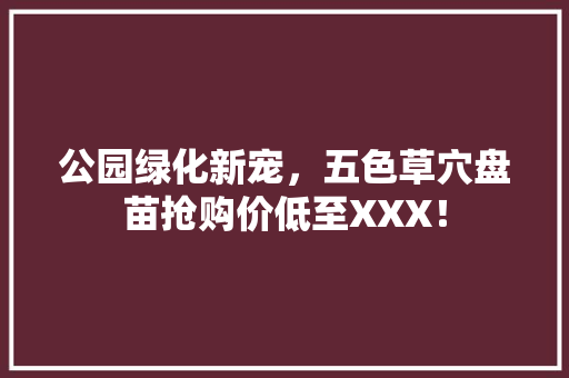 公园绿化新宠，五色草穴盘苗抢购价低至XXX！
