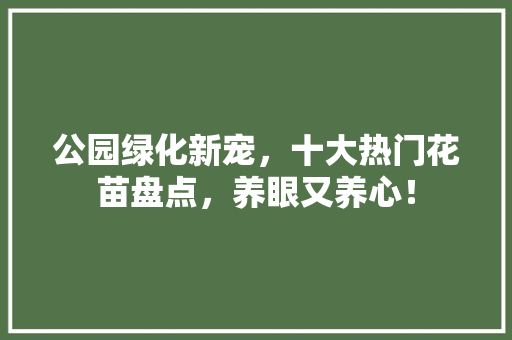 公园绿化新宠，十大热门花苗盘点，养眼又养心！
