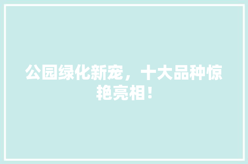 公园绿化新宠，十大品种惊艳亮相！