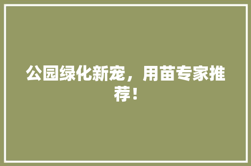 公园绿化新宠，用苗专家推荐！