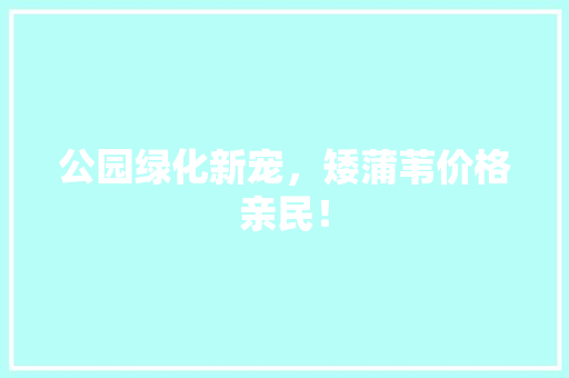 公园绿化新宠，矮蒲苇价格亲民！