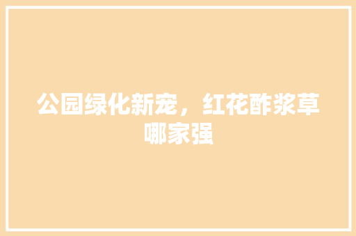 公园绿化新宠，红花酢浆草哪家强