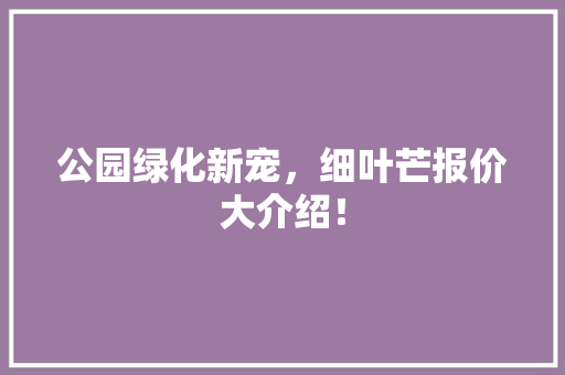 公园绿化新宠，细叶芒报价大介绍！