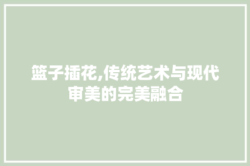 篮子插花,传统艺术与现代审美的完美融合