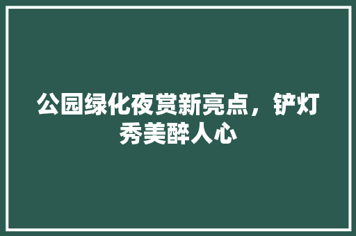 公园绿化夜赏新亮点，铲灯秀美醉人心