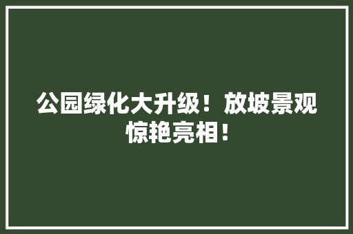 公园绿化大升级！放坡景观惊艳亮相！