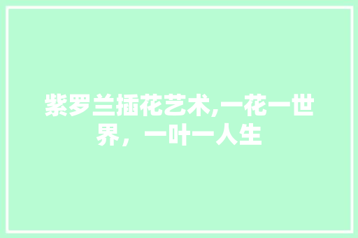 紫罗兰插花艺术,一花一世界，一叶一人生