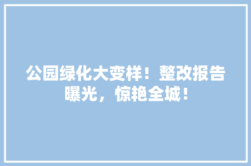 公园绿化大变样！整改报告曝光，惊艳全城！