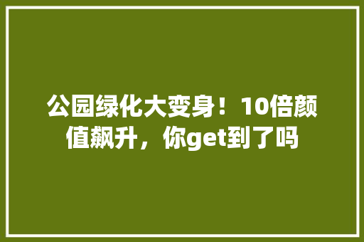 公园绿化大变身！10倍颜值飙升，你get到了吗