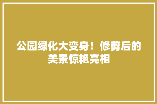 公园绿化大变身！修剪后的美景惊艳亮相
