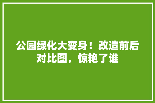 公园绿化大变身！改造前后对比图，惊艳了谁