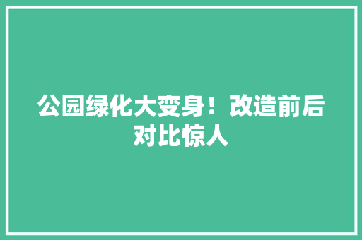 公园绿化大变身！改造前后对比惊人